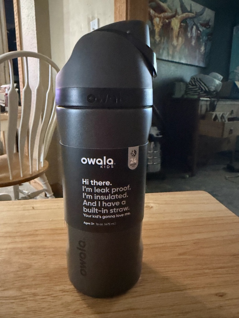 Owala 16oz  Kids Insulated Straw Water Bottle - Matte Black